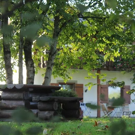 Lejlighed Schlossberghof Marzoll